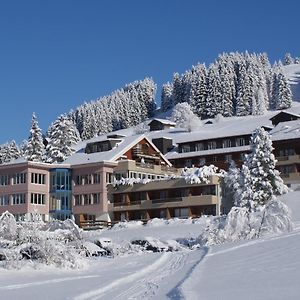 Ferien- und Familienhotel Alpina Adelboden